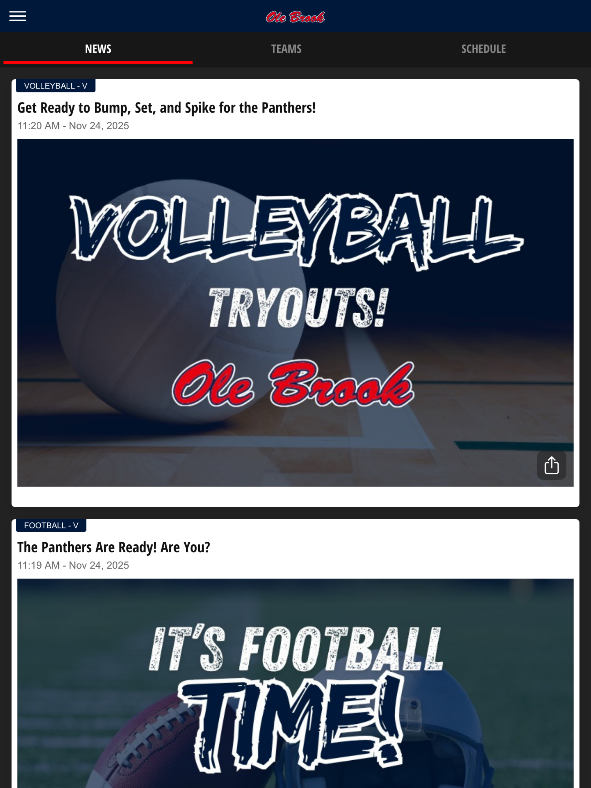 Brookhaven Athletics screenshot 9