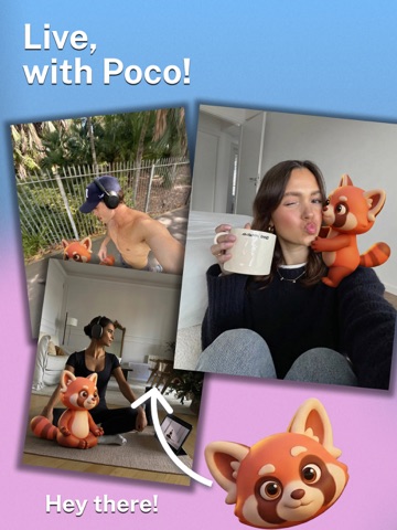 Poco: Enjoy life with your pet iPad screenshot