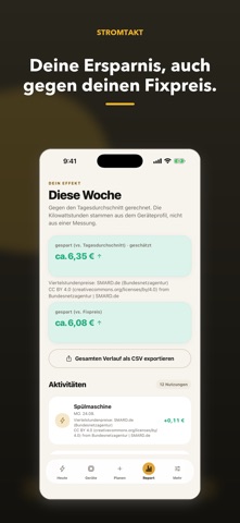 StromTakt: Dynamischer Tarif screenshot