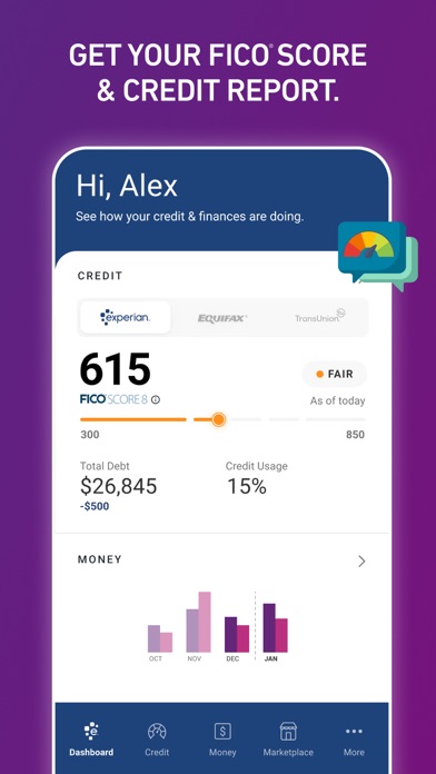 Experian® Screenshot