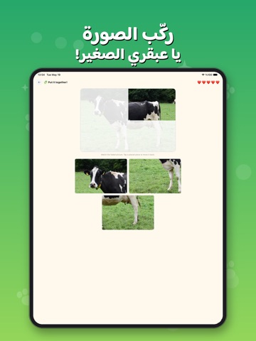 Zoolly iPad screenshot