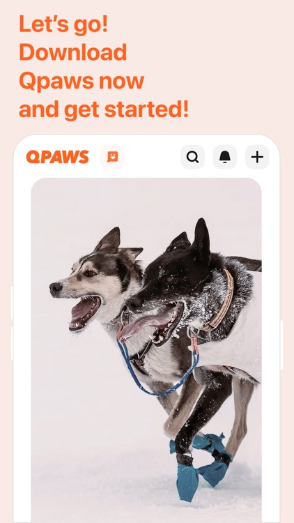 Qpaws: Track Dog Sports & Care screenshot-5