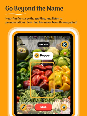 Kidoi: AI Object Identifier iPad screenshot