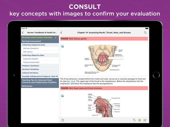 Screenshot #5 pour Weber: Nurse Health Assessment