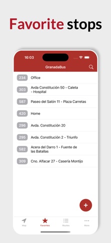 GranadaBus Screenshot 3 of 4