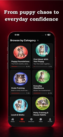 HEEL Dog Training Screenshot 7 of 8