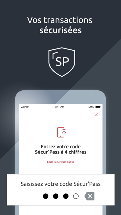 Banque de Savoie PRO Screenshot
