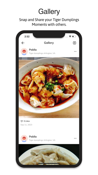 Tiger Dumplings Screenshot