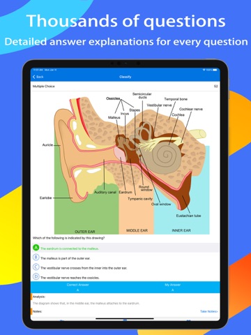ATI TEAS Exam Expert iPad screenshot