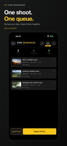 Cine Desqueeze Screenshot 4 of 7