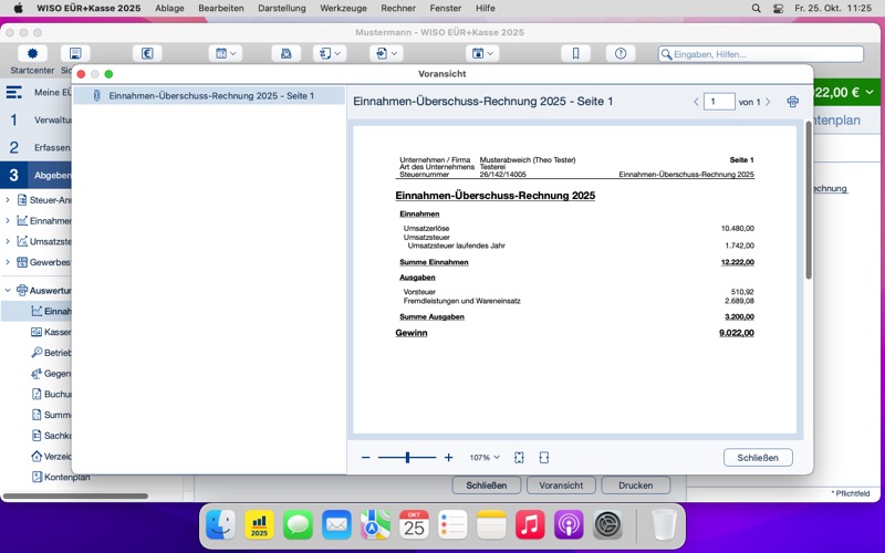 WISO EÜR+Kasse 2025 Screenshot