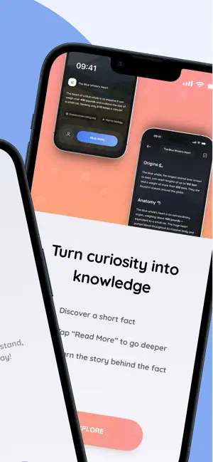Denwee: Facts & Curiosities screenshot 2