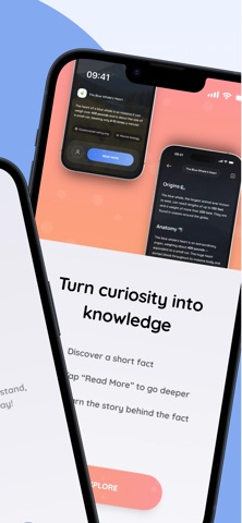 Denwee: Facts & Curiosities Screenshot 2 of 6