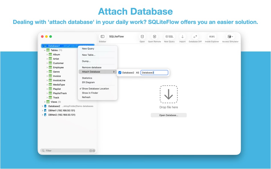 #9. SQLiteFlow - SQLite Editor (macOS) Ved: 晨亮 贾