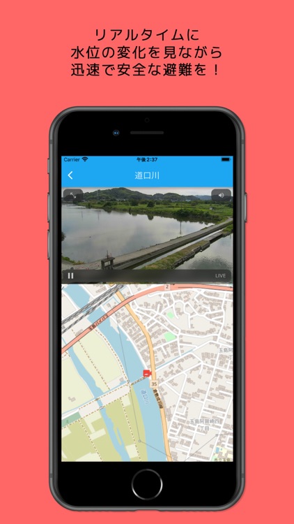たまテレ＋ screenshot-4