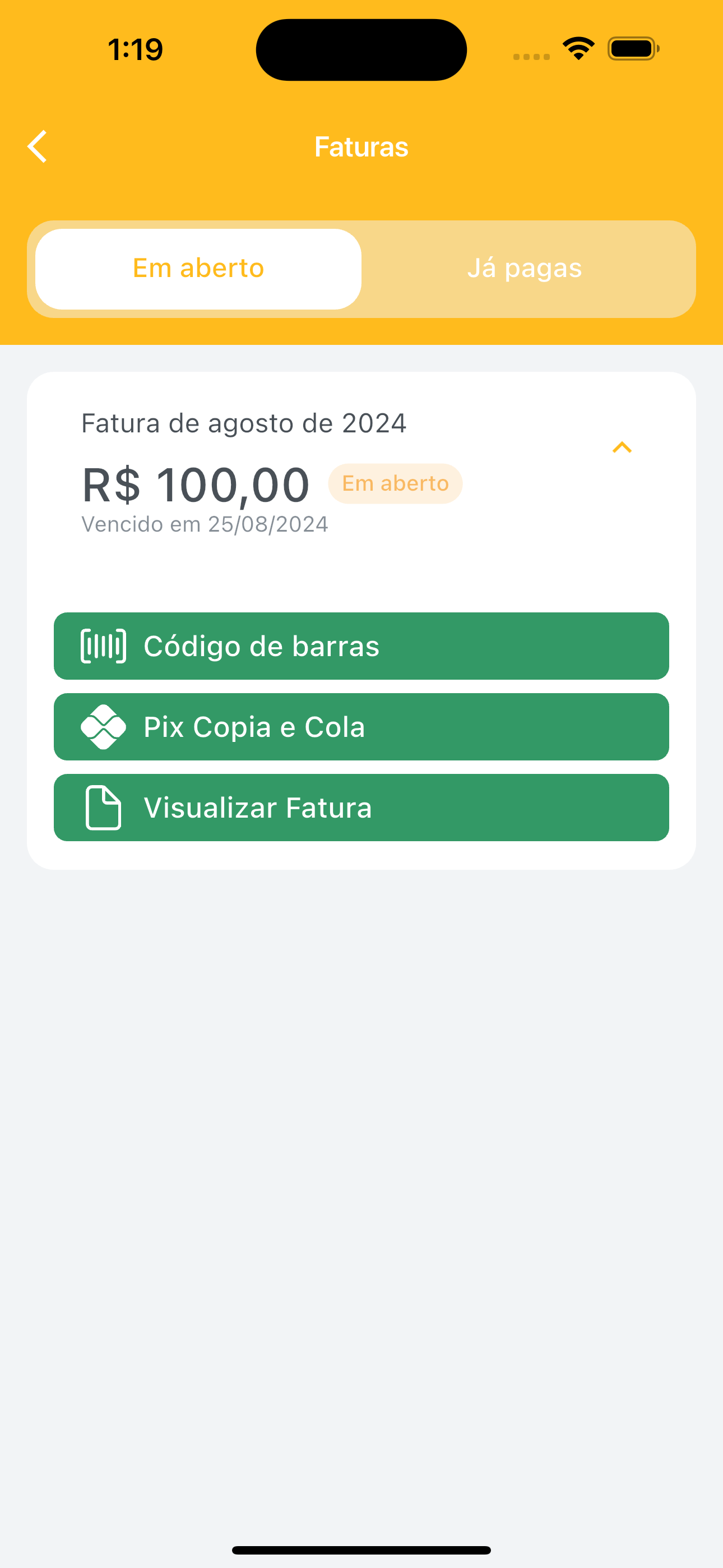 ACESSO NET TELECOMUNICAÇÕES