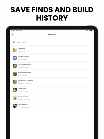 Bird Identifier AI - Birdby iPad screenshot