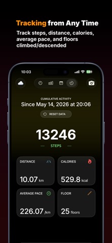 StepsToday: Pedometer screenshot
