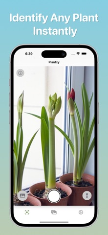 Plant Identifier - Plantxy screenshot