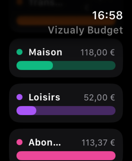 Budget Enveloppes - Vizualy screenshot 22