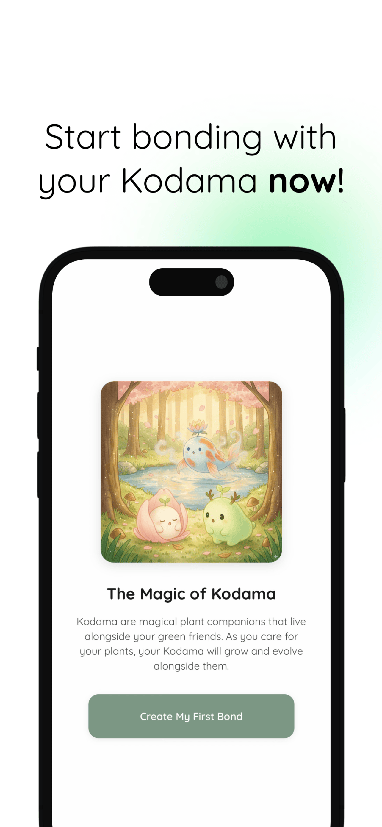 Kodama Grove