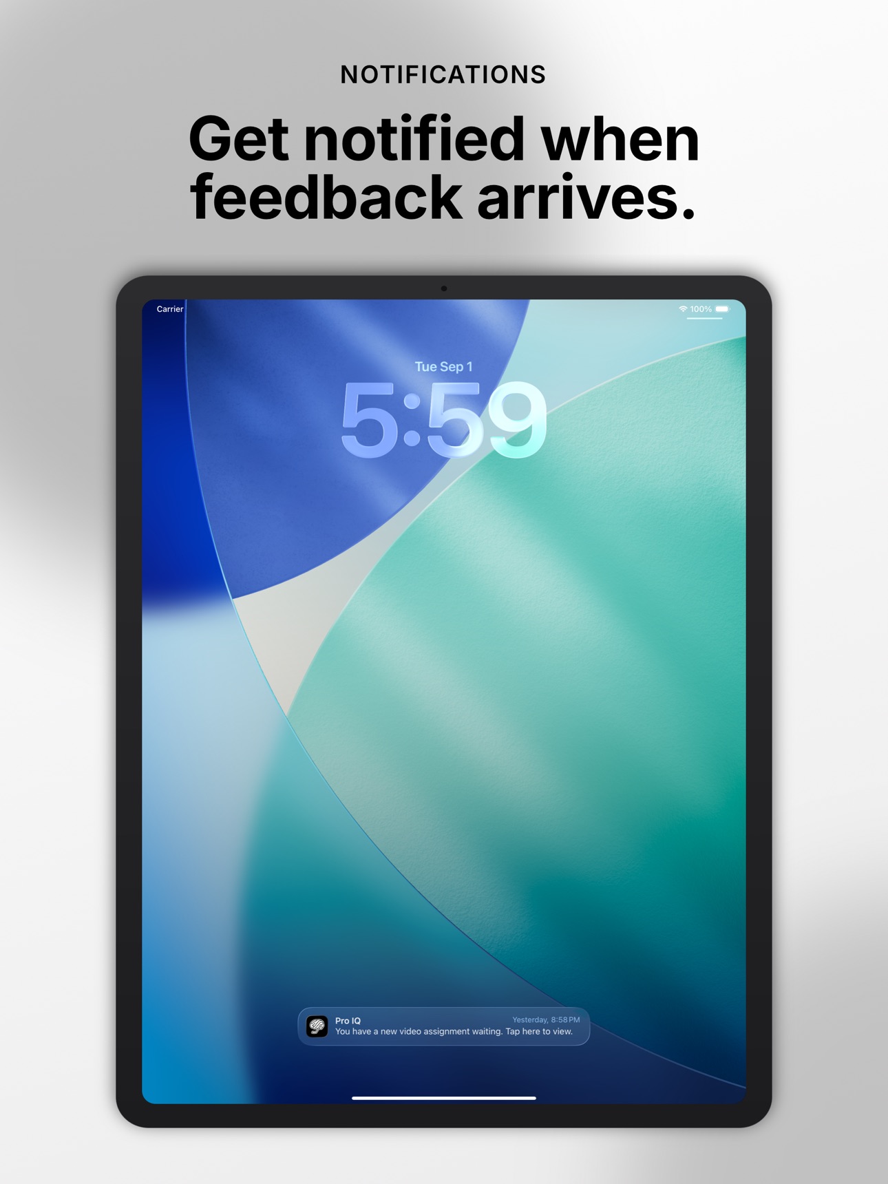 Screenshot 8 of Pro IQ