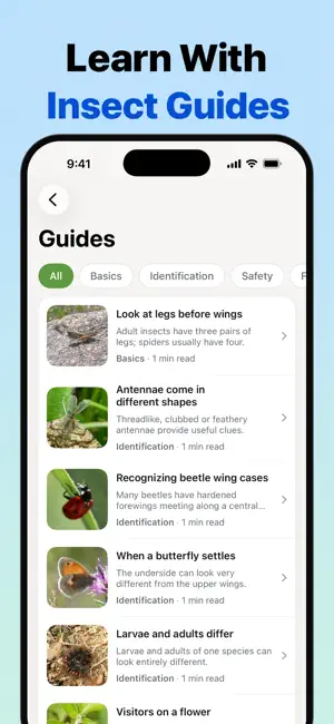 InsectLens: Bug Identifier screenshot 4