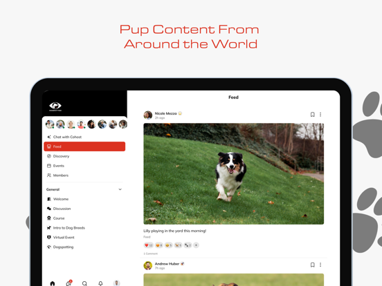 Dogspotting App iPad screenshot 1 - Social Networking app