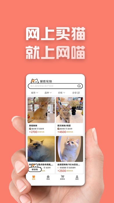 网喵宠物 Screenshot