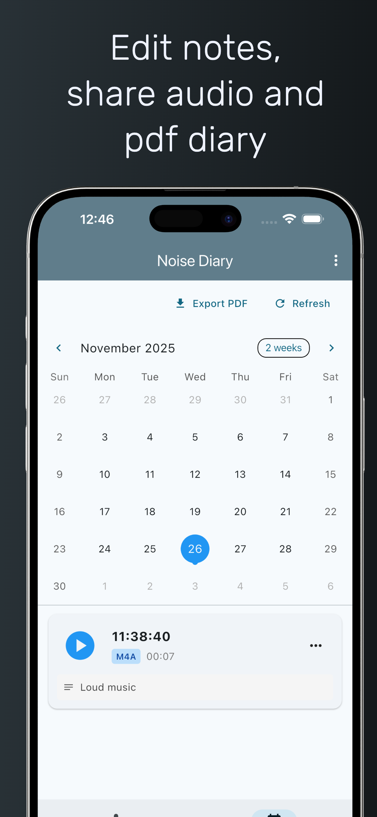 Noise Diary