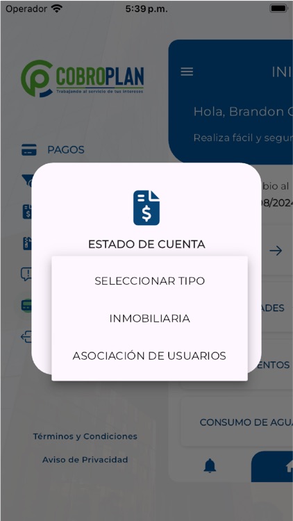 Cobroplan screenshot-8