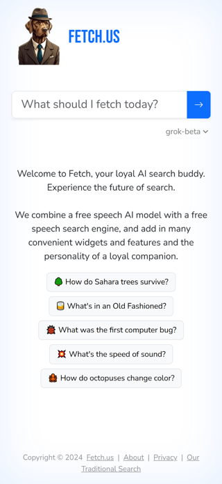 Fetch - AI Search Engine Screenshot 1 of 2