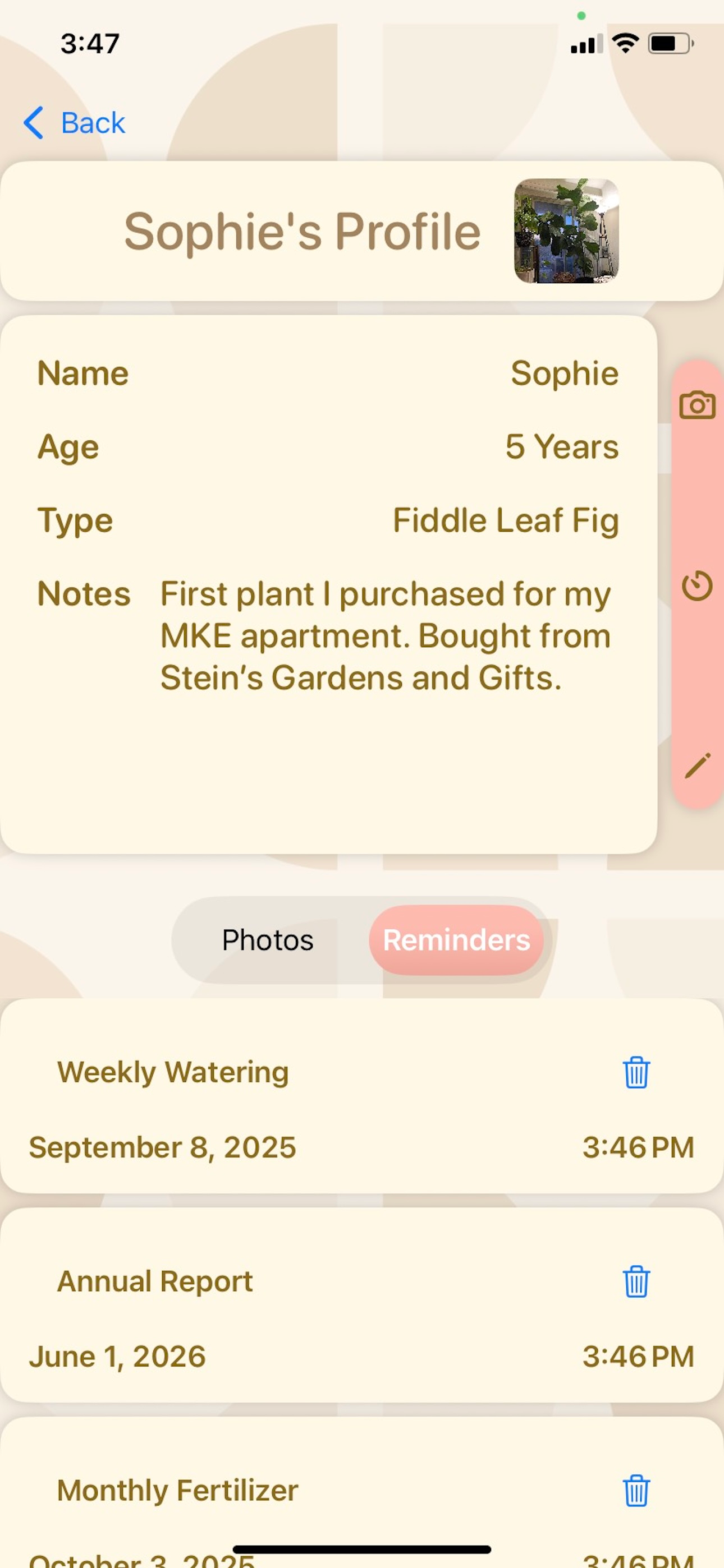 PlantMama