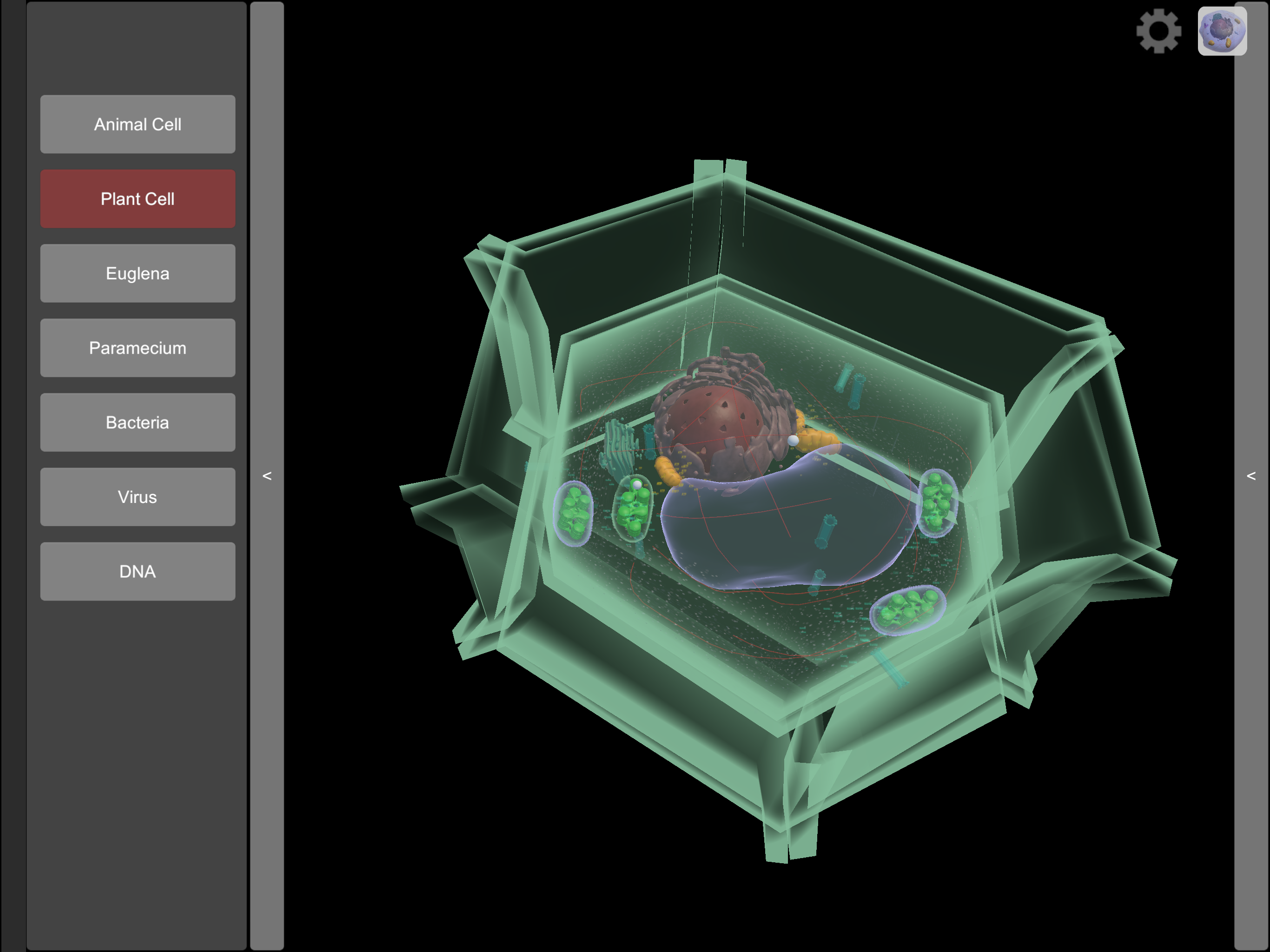 3D Virtual Cell screenshot 9