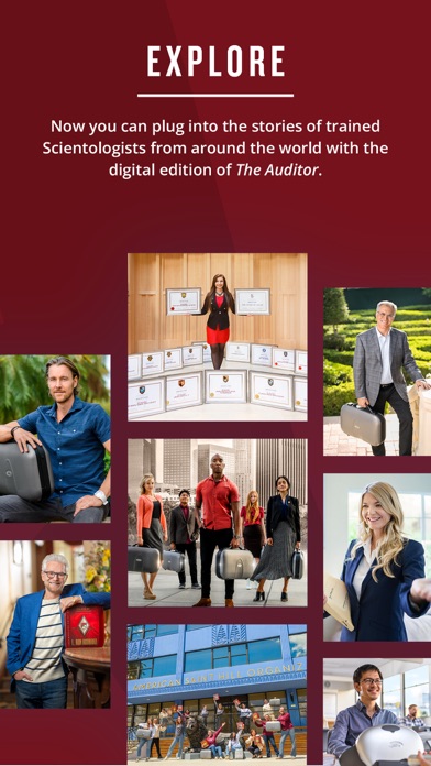 The Auditor Screenshot