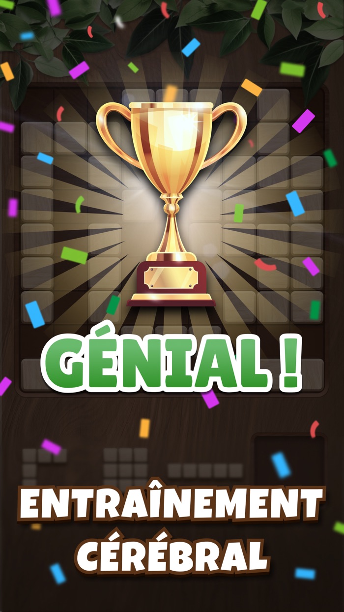 Woody Block Puzzle Cube Block