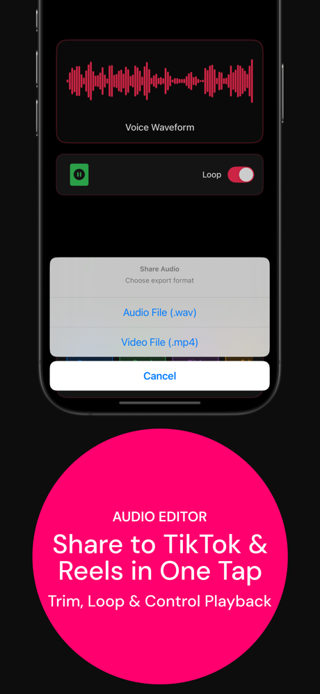 Reverse Audio for Singing screenshot 3