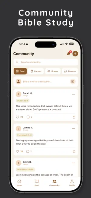 Scripture Circle (57216f) screenshot 3