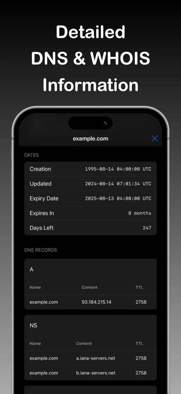 #4. DNS Time (iOS) Oleh: Erfan Reed