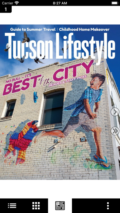 Tucson Lifestyle Magazine Screenshot