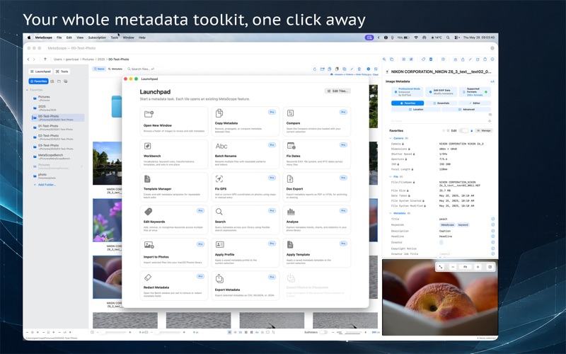 MetaScope: Metadata Editor screenshot
