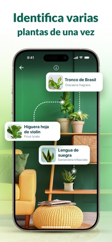 Plantum - Plant Identification screenshot 4