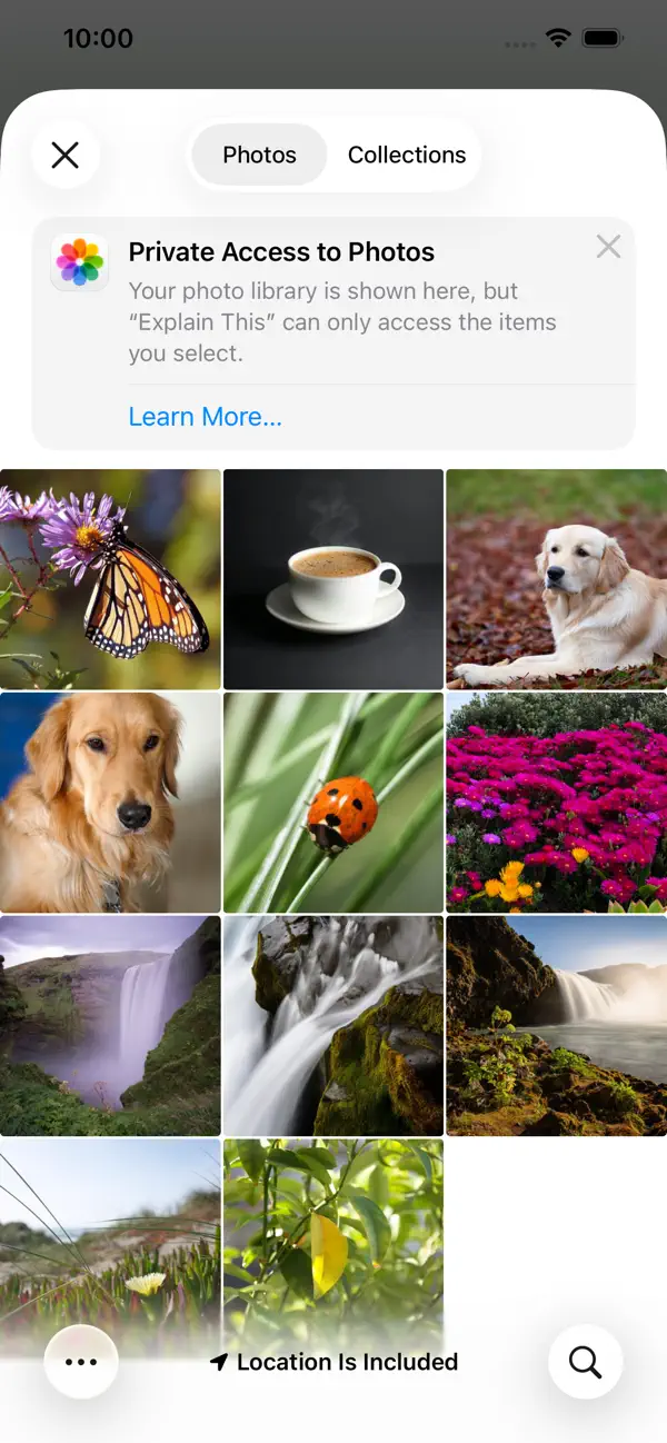 #2. Explain This Image (iOS) Ved: Lu Li