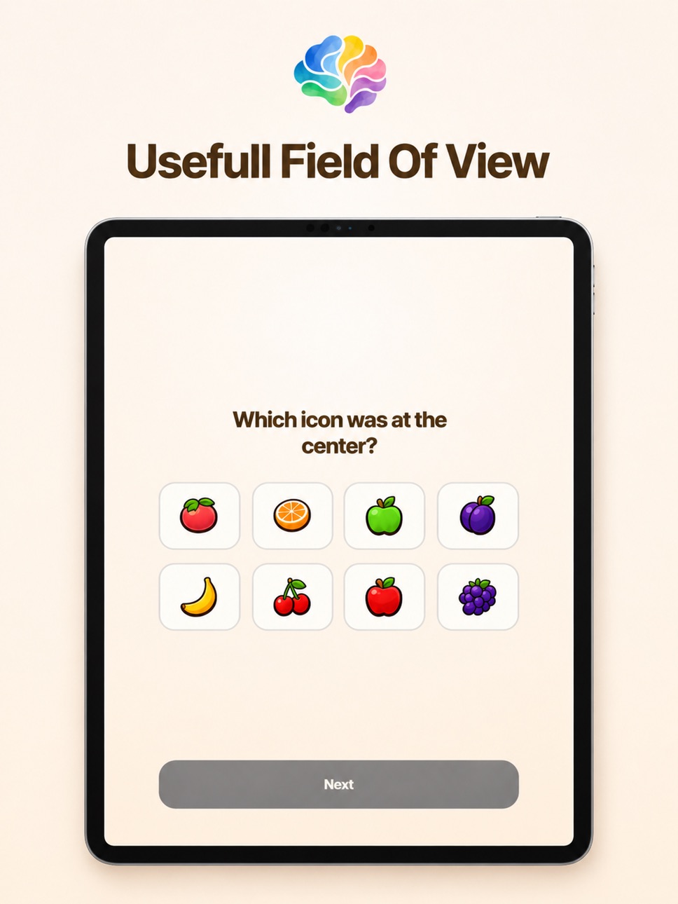 iPad screenshot