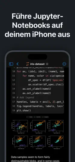Screenshot von Juno – Python Und Jupyter auf dem iPhone 4