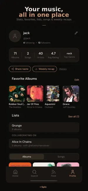 Spin: Music Journal screenshot 3