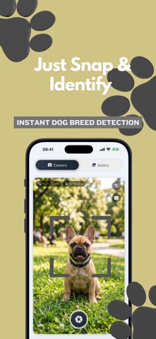 DogWiki: Dog Breed Identifier Screenshot 1 of 6