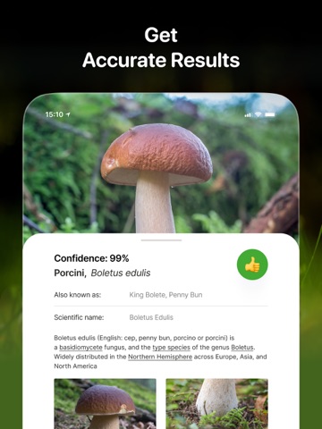 Svampguiden + Identifiering iPad screenshot 4