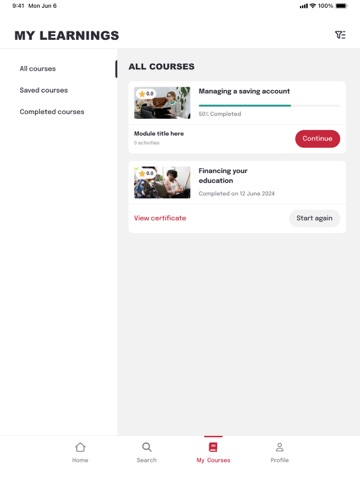 VFEC - National Urban League iPad screenshot