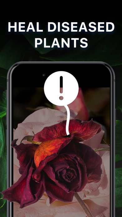 Plant Identifier?AI Photo Scan Screenshot